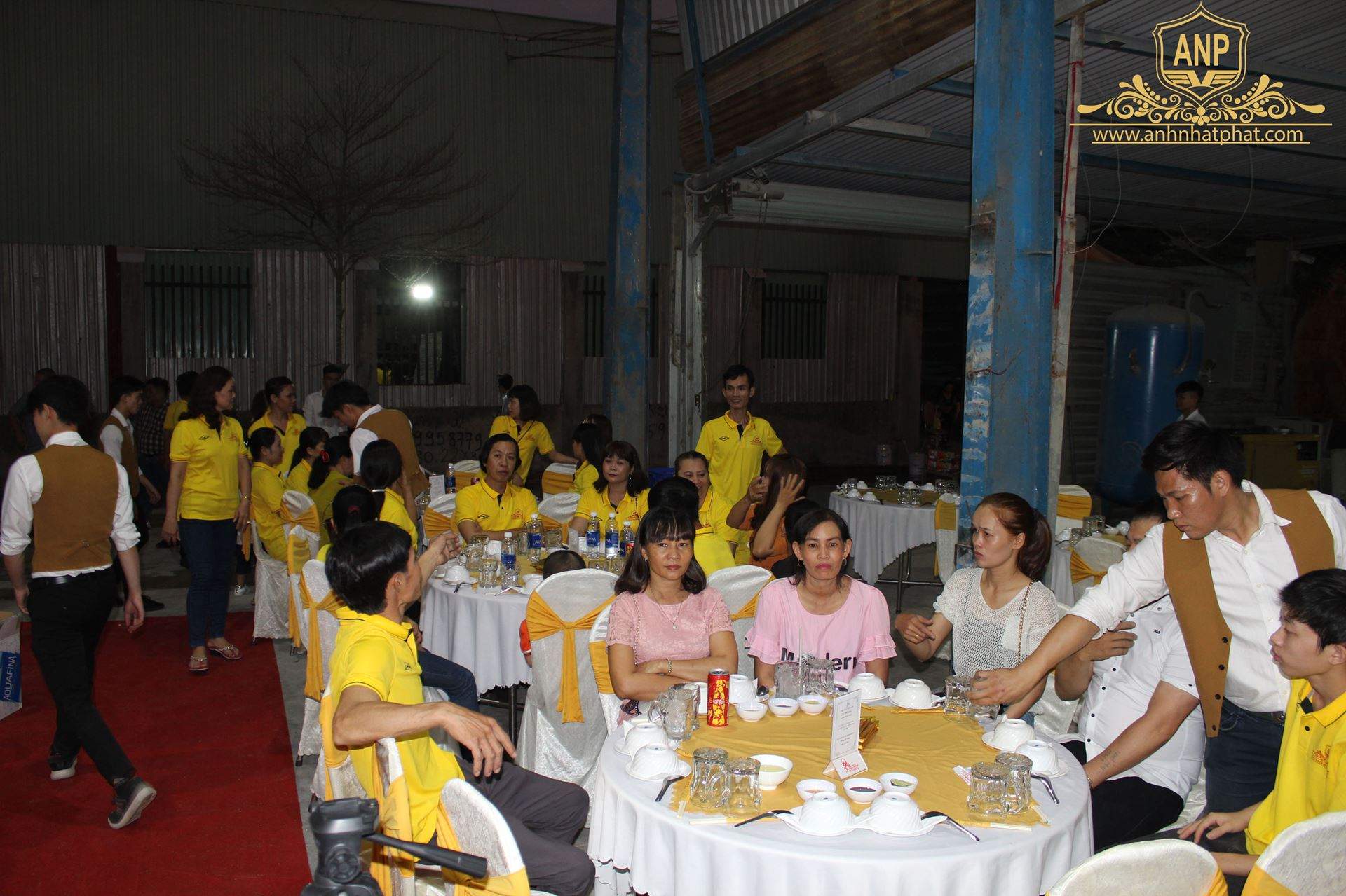 tất ni&ecirc;n nh&ocirc;m đ&uacute;c anh nhật ph&aacute;t