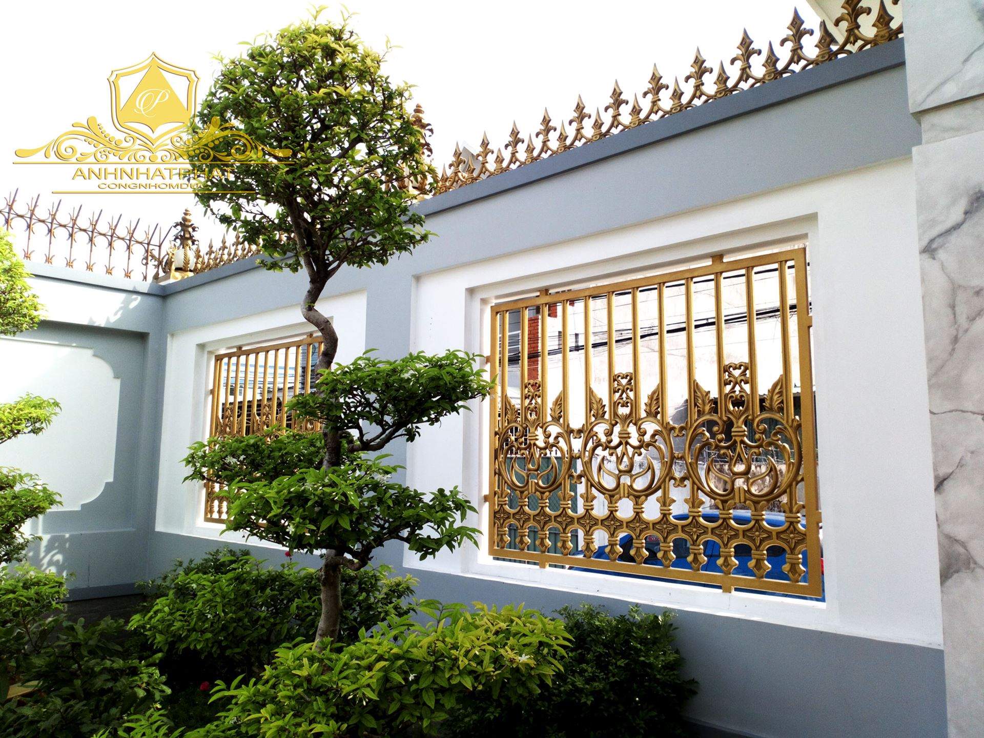 b&ocirc;ng gi&oacute; đẹp